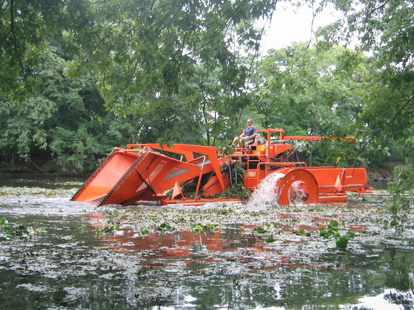 Water Chestnut Harvester